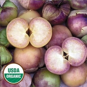 Tomatillo Seeds, Purple