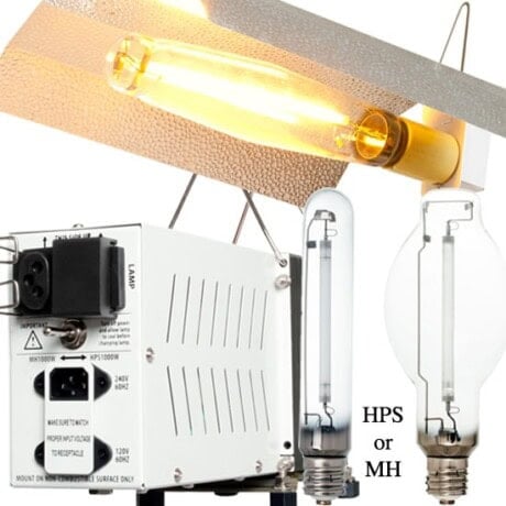 Plant Grow Light Kit