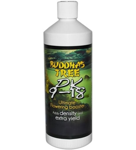 Buddhas Tree PK 9-18