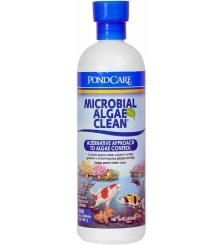 Microbial Algae Clean