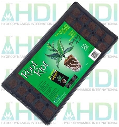 Root Riot Tray w/ Plugs