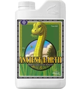 Ancient Earth