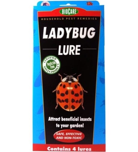 BioCare Lady Bug Lures