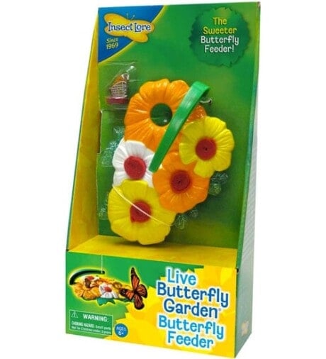 Insect Lore Butterfly Feeder Deluxe