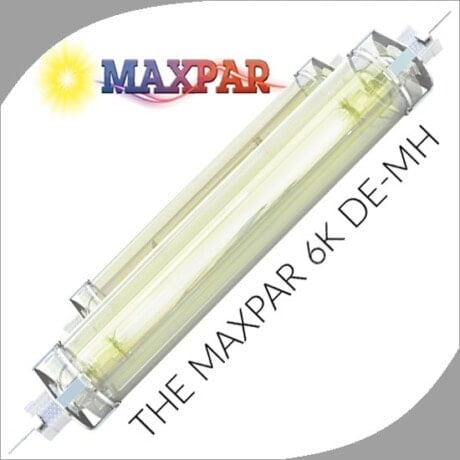Double Ended MH Lamps