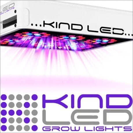 Kind L300 LED Grow Light