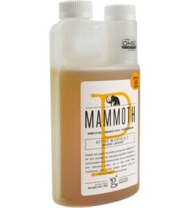 MAMMOTH P