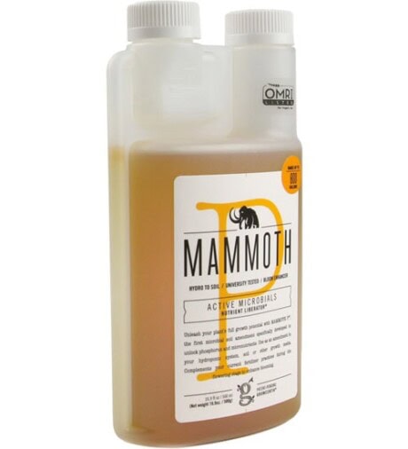 MAMMOTH P