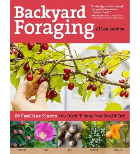 Backyard Foraging