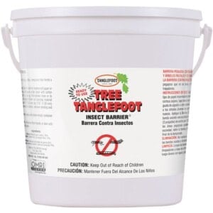 Tanglefoot Tree Insect Barrier