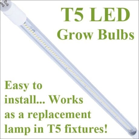 T5 LED tubes