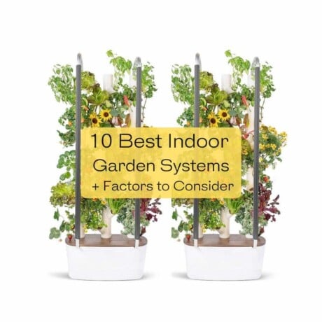 Indoor Garden Systems