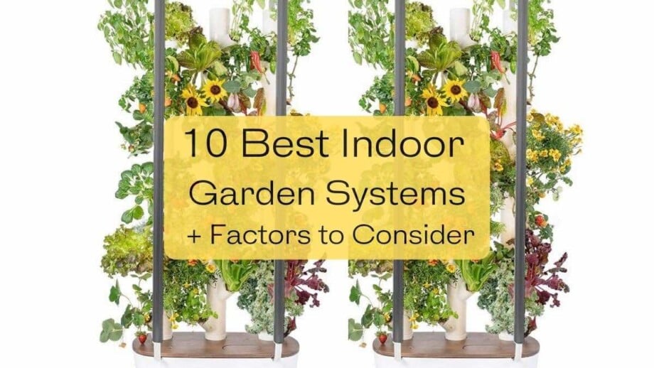 Indoor Garden Systems