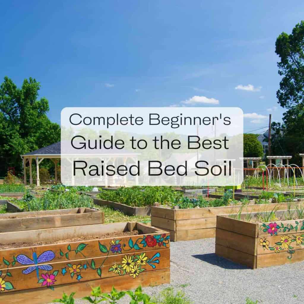 Complete Beginner's Guide to the Best Raised Bed Soil