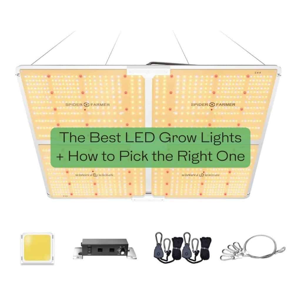 The Best LED Grow Lights