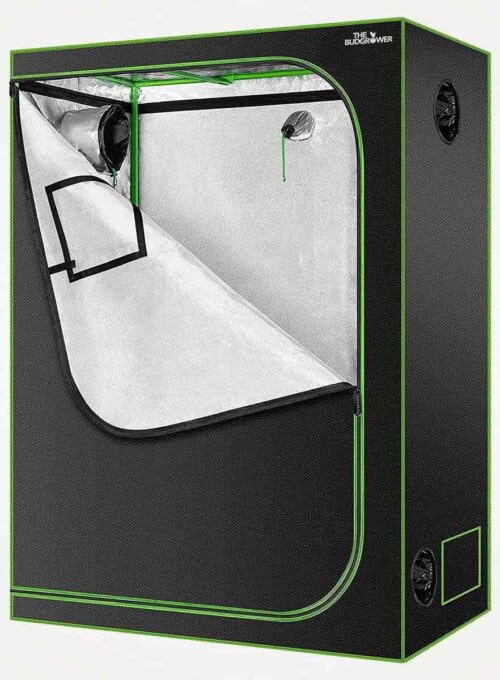 The Best Grow Tents in 2023 (Plus Buying Considerations!)