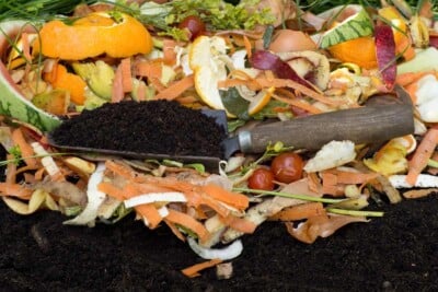 Compost with Soil