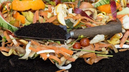 Compost with Soil