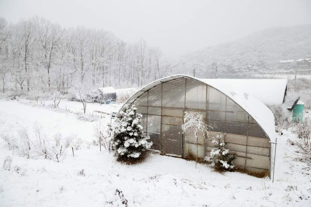 Winter Greenhouse