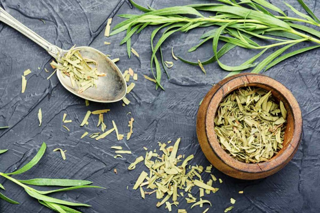 Tarragon: How to Plant, Grow, and Harvest Tarragon