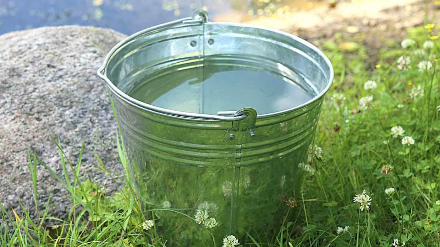 10 EcoFriendly Yard Tips That Will Save You Big Bucks on Lawn Care