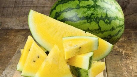 Yellow Watermelon