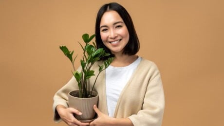 Happy asian girl posing with house plant on isolated backdrop.