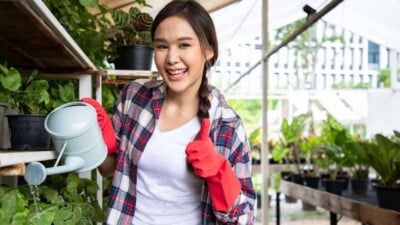 Young asian woman using watering can in green house.