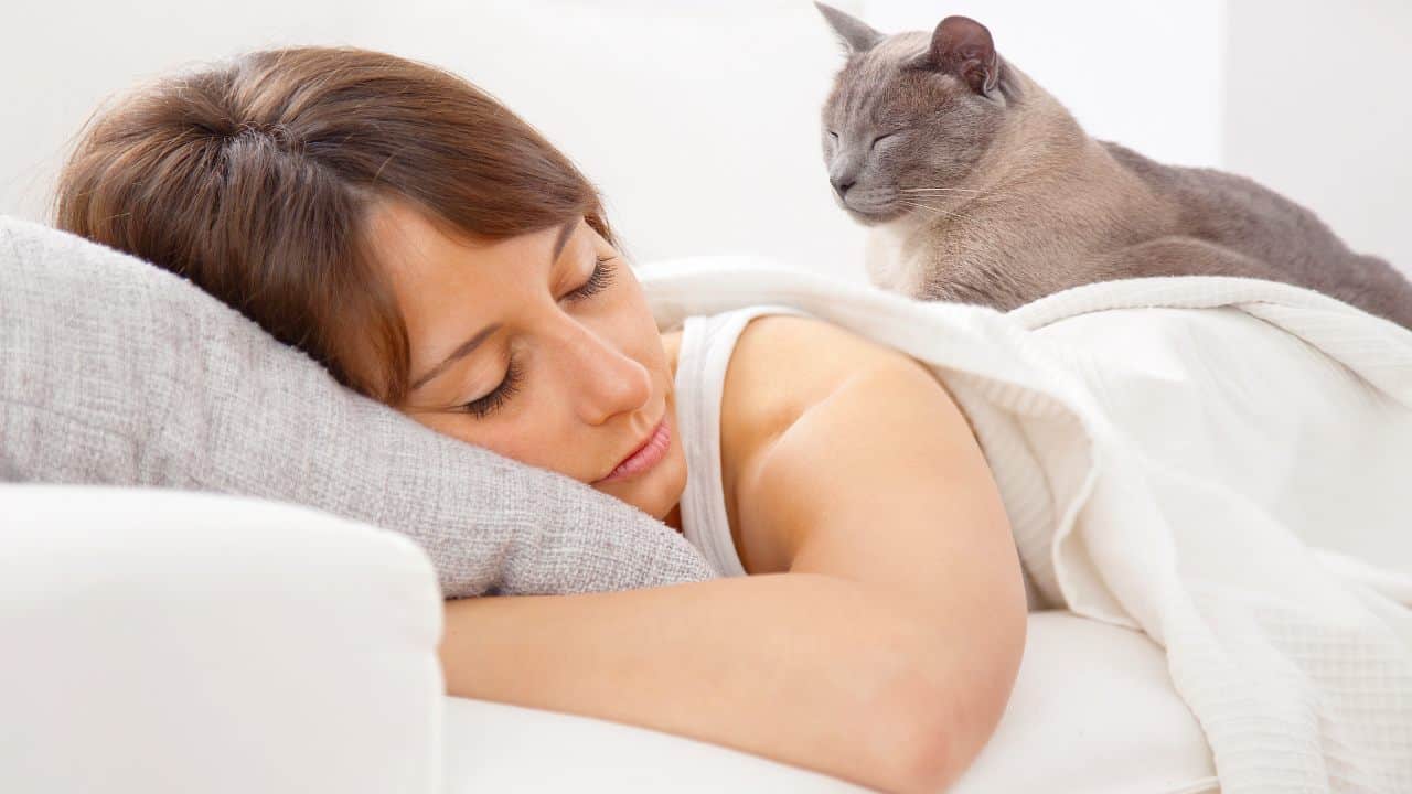 nap