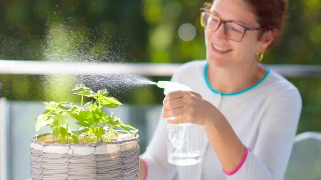 Woman wearing glasses spraying a potted plant with water.