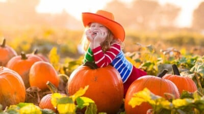 Little girl leaning on a pumpkin in a pumpkin patch