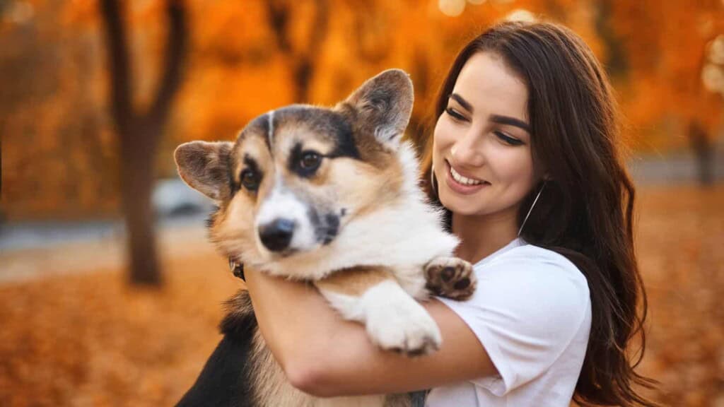 Woman smiling holding a corgi dog outside in the autumn.