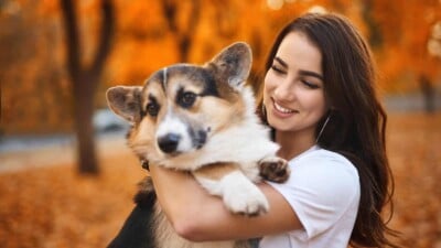 Woman smiling holding a corgi dog outside in the autumn.