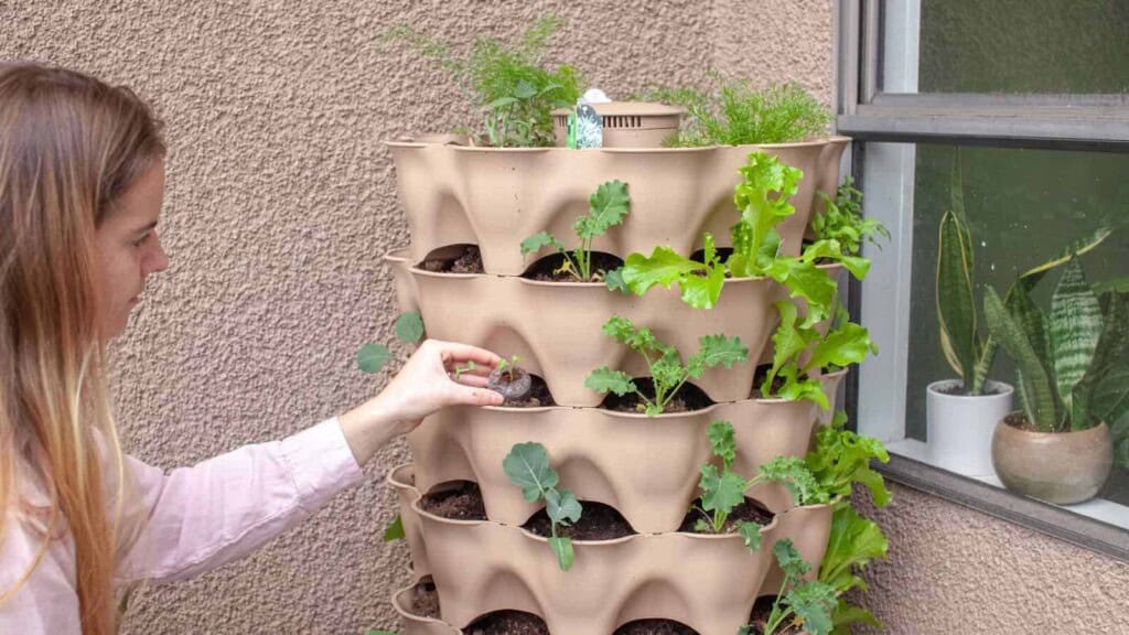 Woman putting a seedling into a vertical garden