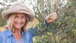 Woman smiling and picking olives from the olive tree