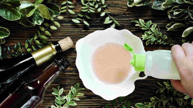7 Easy DIY Mosquito Traps (Simple Homemade Mosquito Traps)