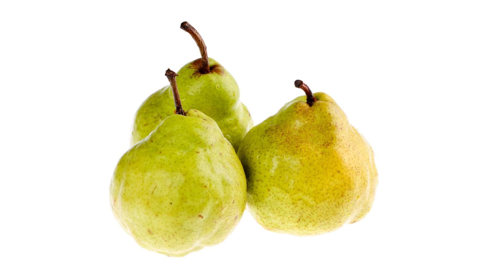 Three ripe D'Anjou Pears on a white background