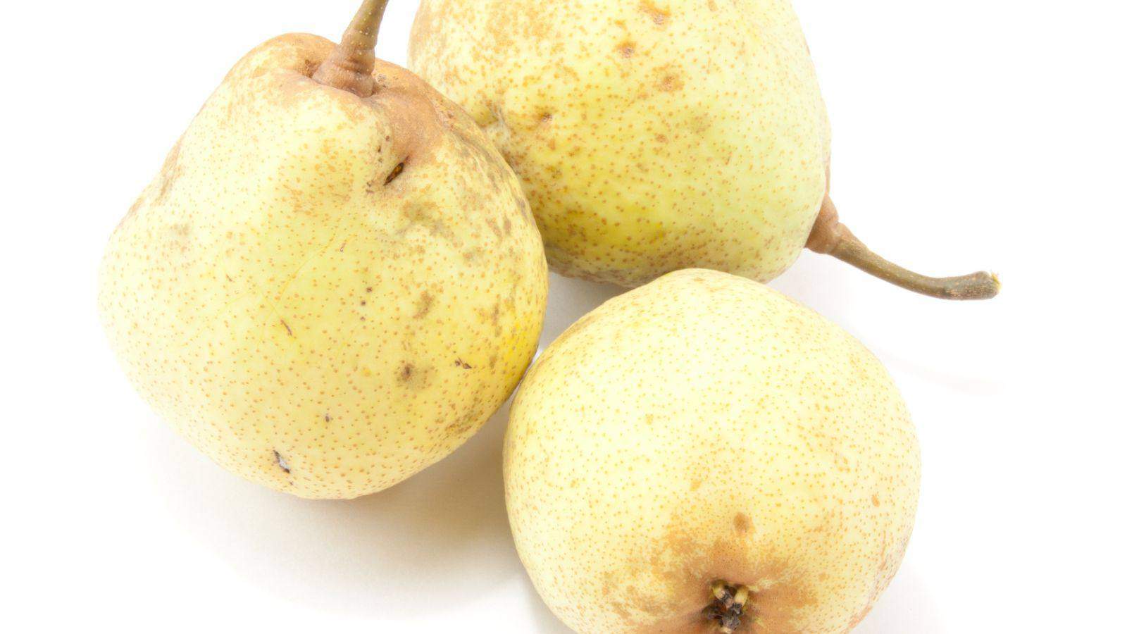 Ripe Flordahome Pears on a white background