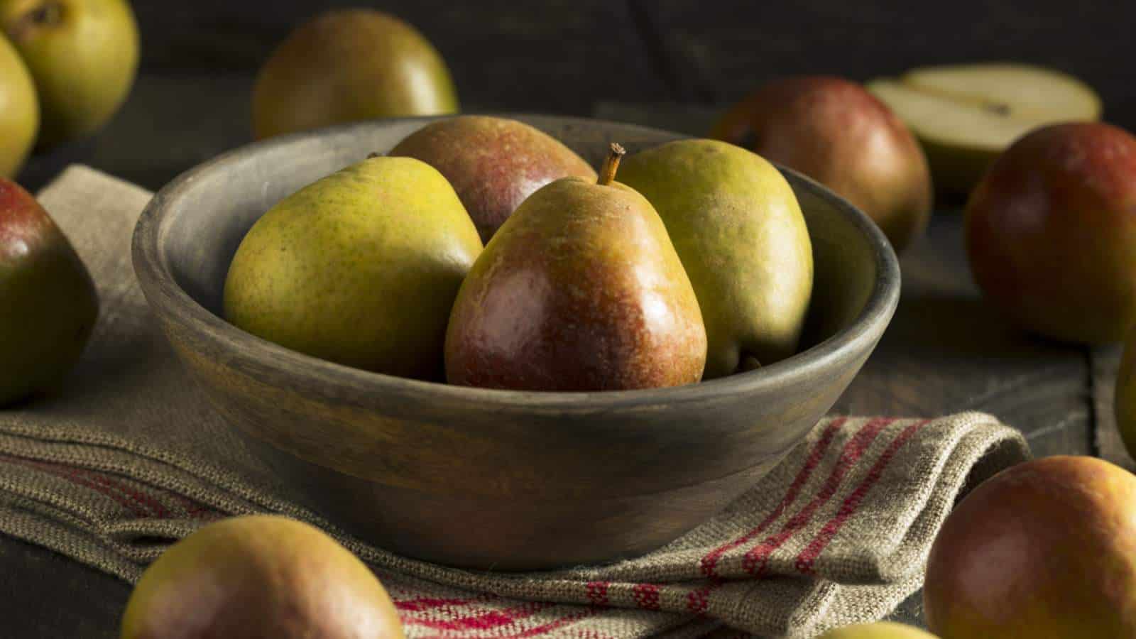 resh and ripe seckel pears on a bowl and table