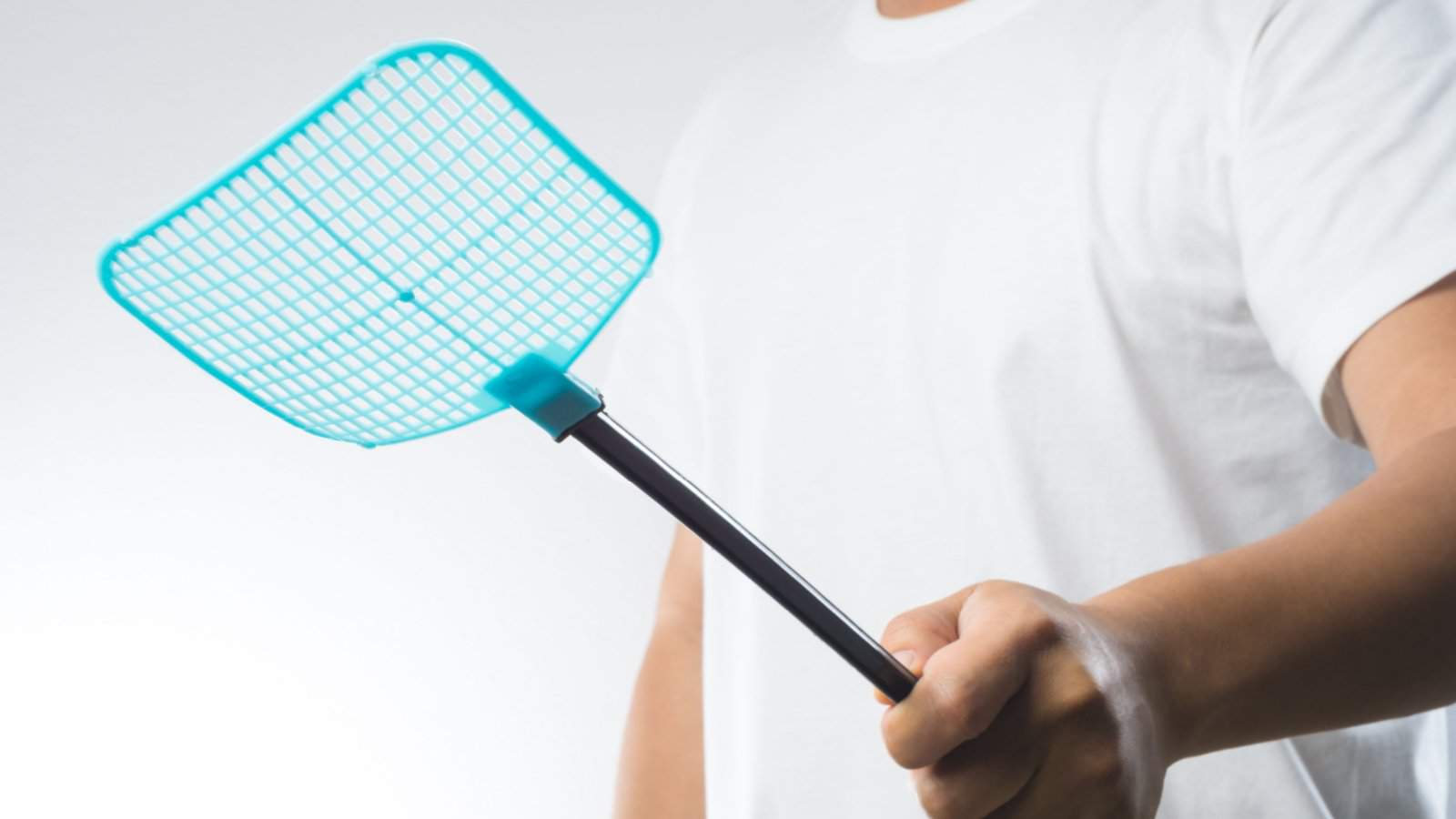 Hand holding a blue fly swatter