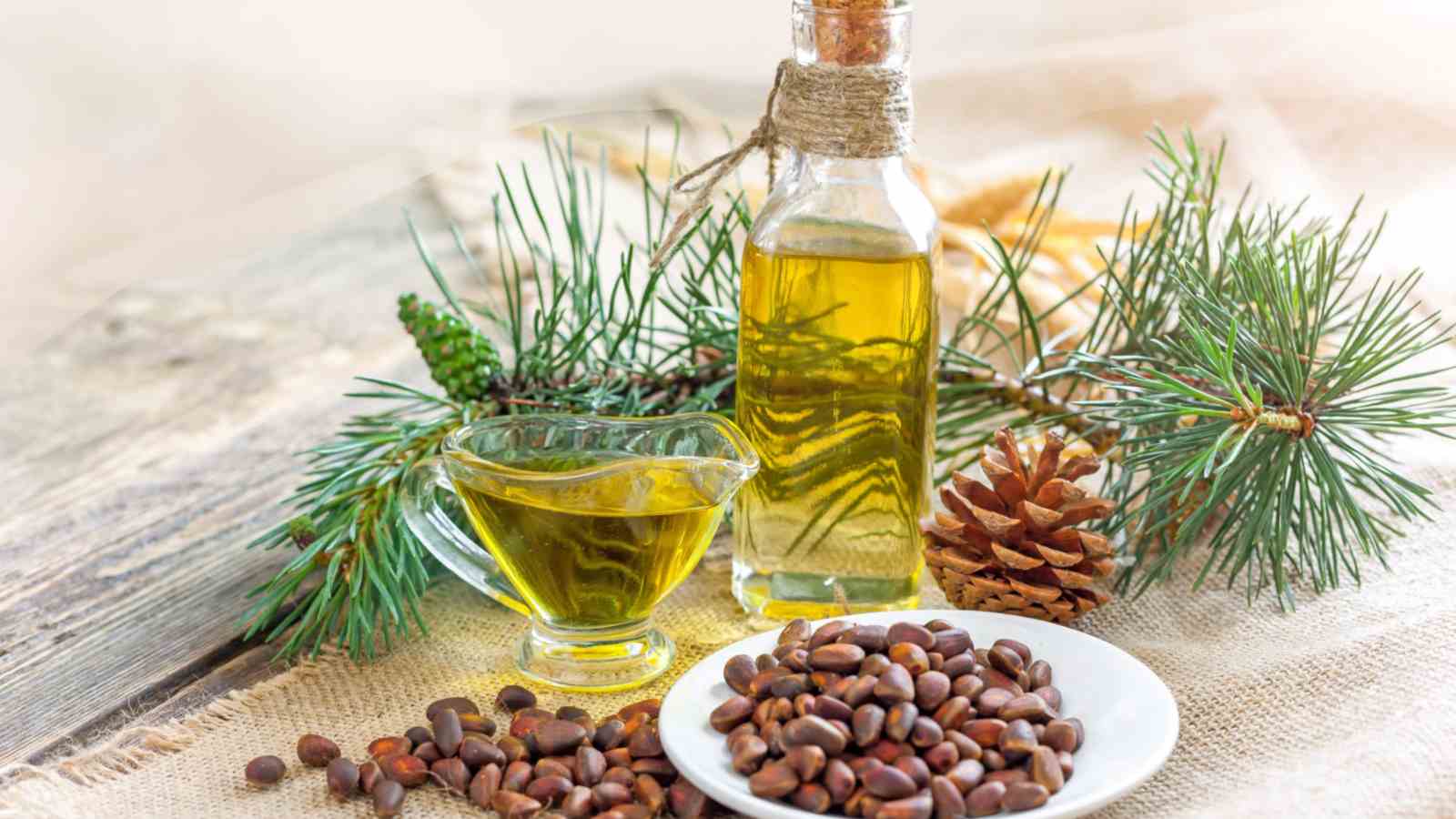 Cedar oil in bottle and pine nuts on a white plate