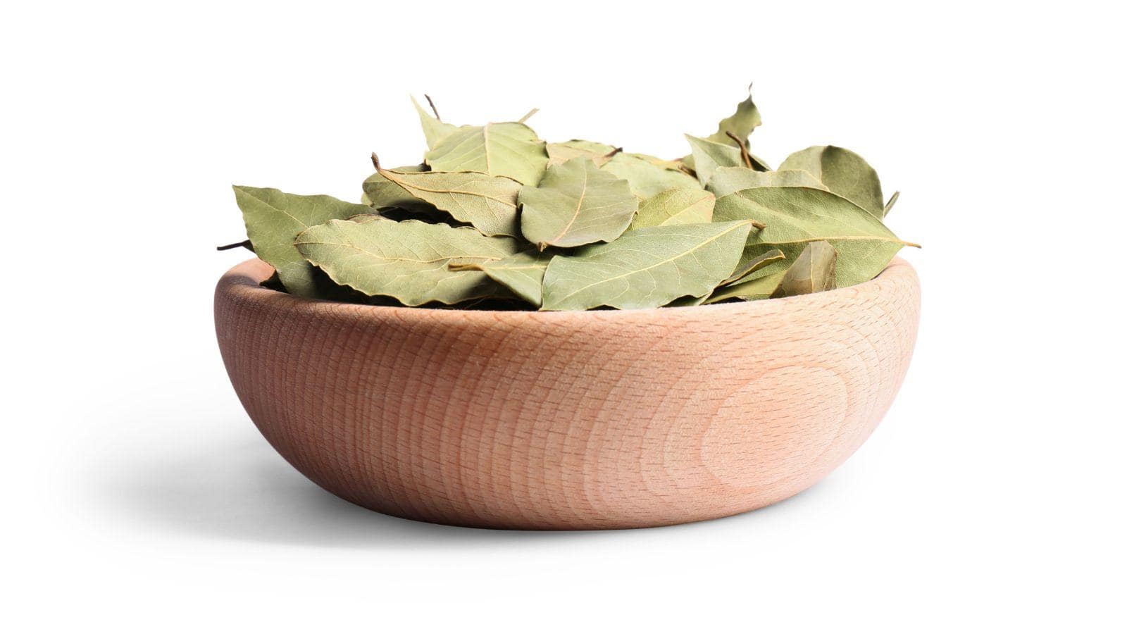 Silverfish Bug What Are They and How To Get Rid of Them? Natural