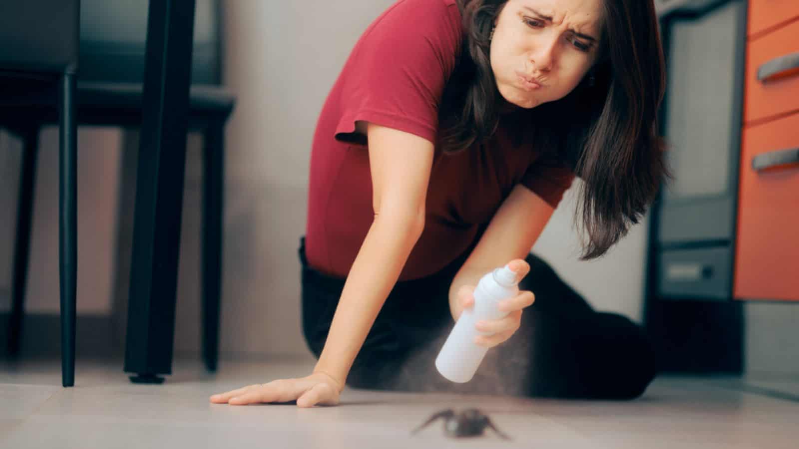 Woman spraying spider pesticide on a spider