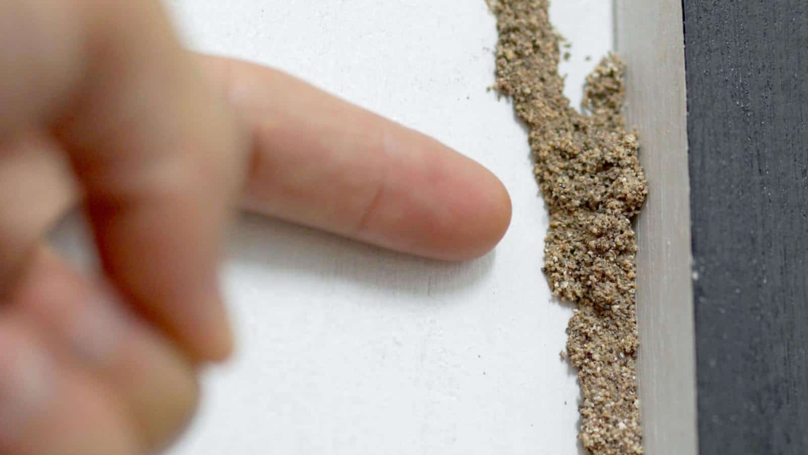 Hand pointing on a termite nest on a white wall