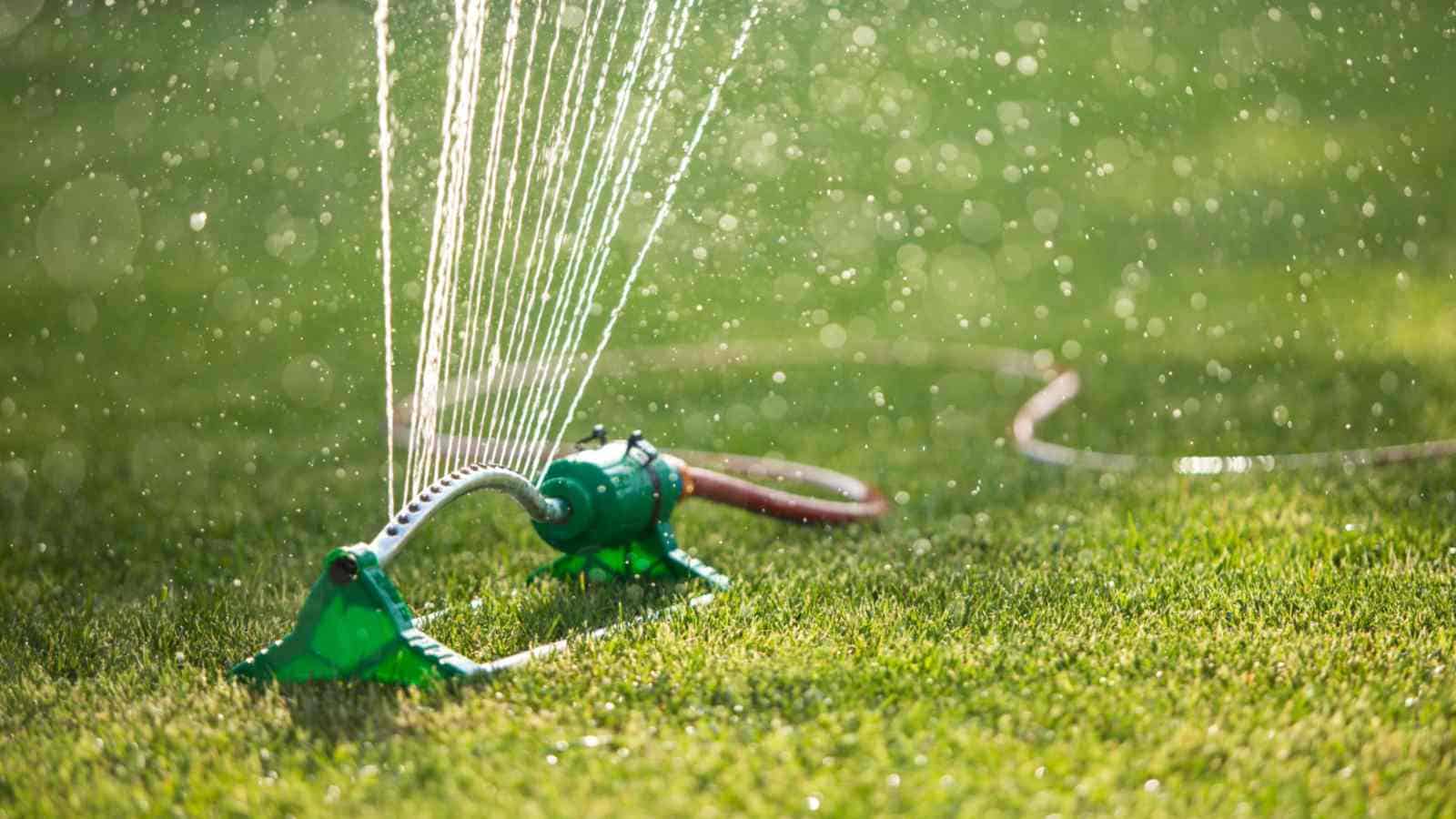 Lawn sprinkler watering the lawn