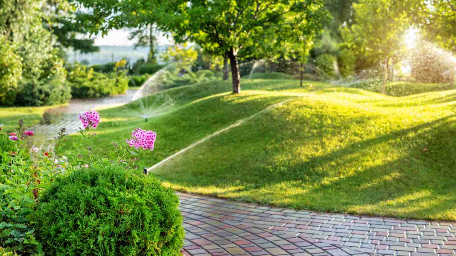 Automate watering tasks.