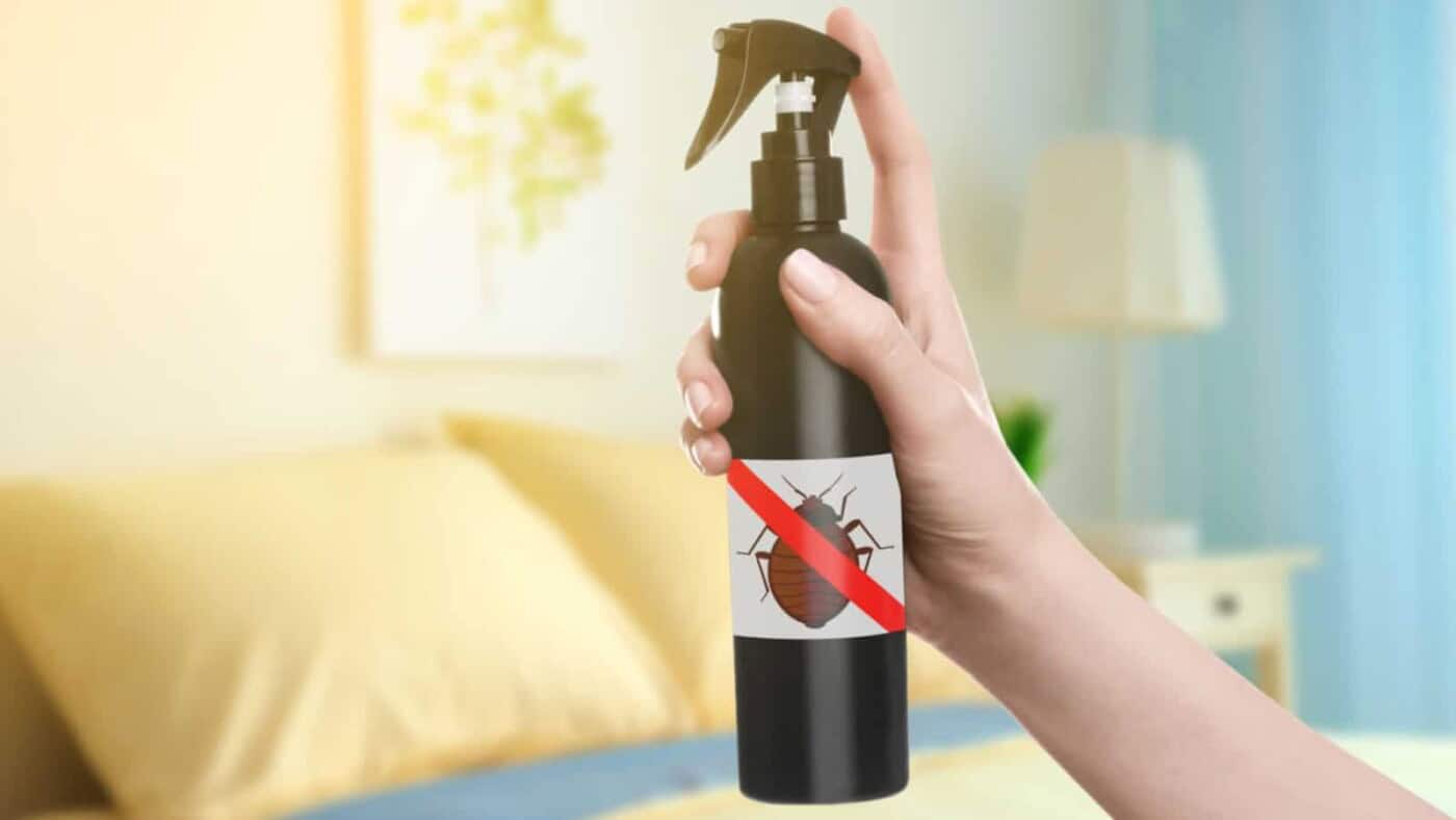 The 11 Best Bed Bug Spray of 2023 (And What to Look For)