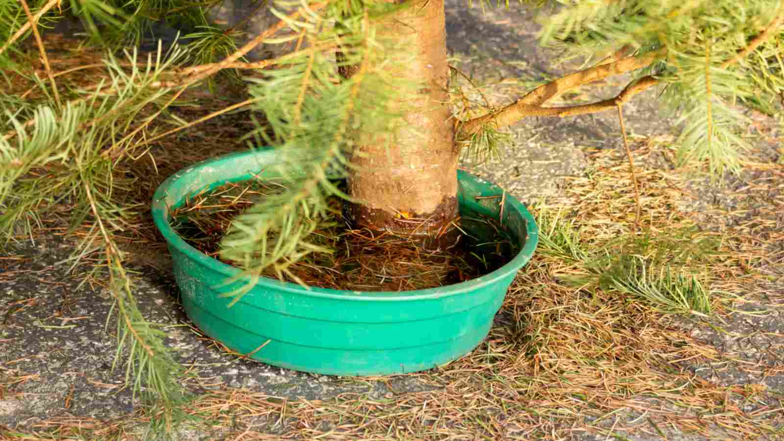 Create a DIY humidity tray