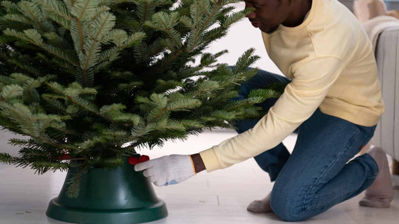 Ensure your Christmas tree stand is sturdy