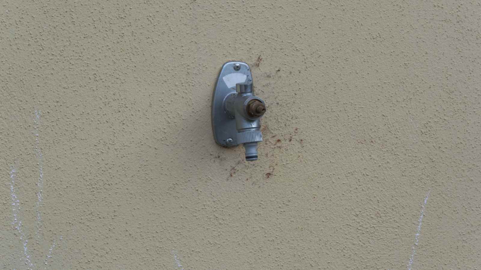 Exterior Water Drainage